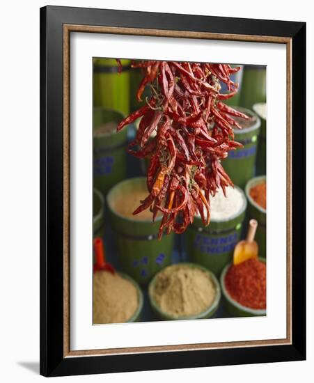 Chillies in Spice Market, Istanbul, Turkey, Europe-Sakis Papadopoulos-Framed Photographic Print