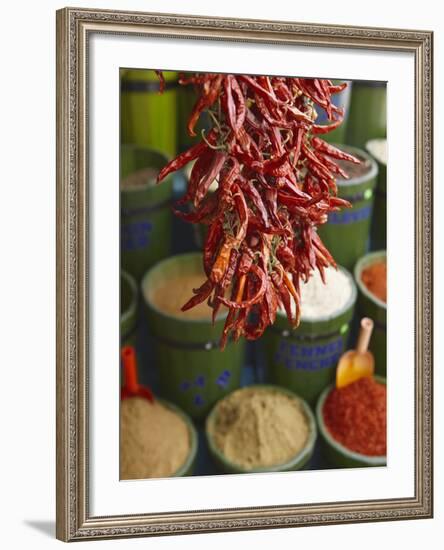 Chillies in Spice Market, Istanbul, Turkey, Europe-Sakis Papadopoulos-Framed Photographic Print