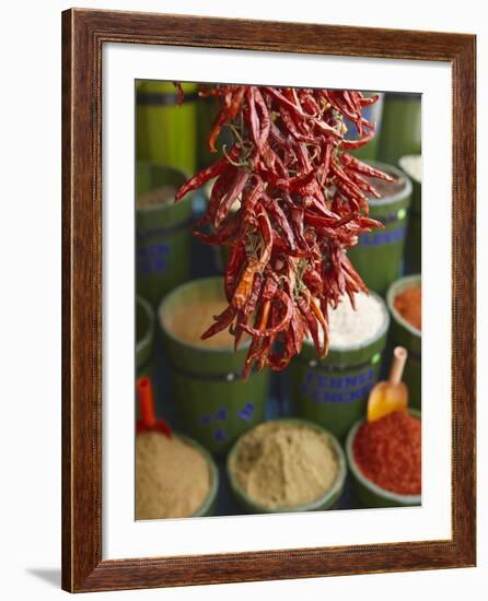 Chillies in Spice Market, Istanbul, Turkey, Europe-Sakis Papadopoulos-Framed Photographic Print