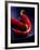 Chillies, Long Red Variety-Karl Newedel-Framed Photographic Print