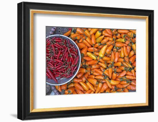 Chillies, Sapa Area, Vietnam, Indochina, Southeast Asia, Asia-Bruno Morandi-Framed Photographic Print