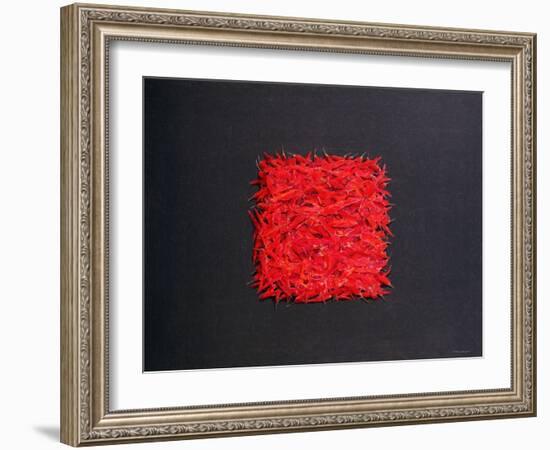 Chillies-Lincoln Seligman-Framed Giclee Print