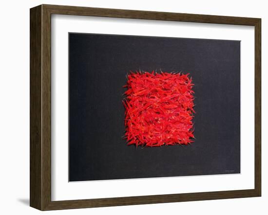 Chillies-Lincoln Seligman-Framed Giclee Print