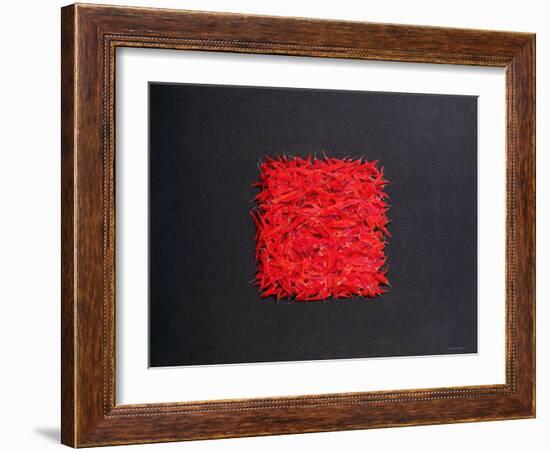 Chillies-Lincoln Seligman-Framed Giclee Print