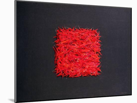 Chillies-Lincoln Seligman-Mounted Giclee Print