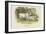 Chillingham Cattle-English School-Framed Giclee Print