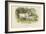 Chillingham Cattle-English School-Framed Giclee Print