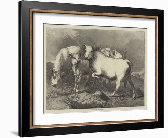 Chillingham Wild Cattle-George Bouverie Goddard-Framed Giclee Print