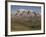 Chimborazo Mountain (6310 Meters) the Highest Mountain in Ecuador, Chimborazo Reserve, Ecuador-Pete Oxford-Framed Photographic Print