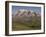 Chimborazo Mountain (6310 Meters) the Highest Mountain in Ecuador, Chimborazo Reserve, Ecuador-Pete Oxford-Framed Photographic Print