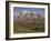 Chimborazo Mountain (6310 Meters) the Highest Mountain in Ecuador, Chimborazo Reserve, Ecuador-Pete Oxford-Framed Photographic Print