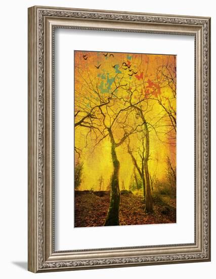 Chimèra-Viviane Fedieu Daniel-Framed Photographic Print