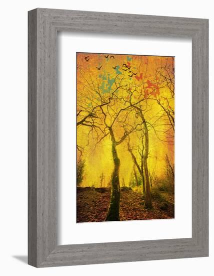 Chimèra-Viviane Fedieu Daniel-Framed Photographic Print