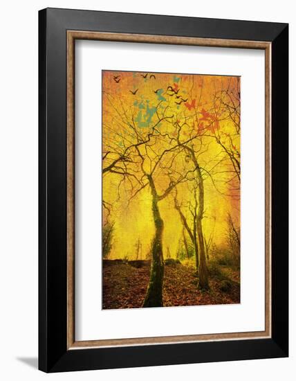 Chimèra-Viviane Fedieu Daniel-Framed Photographic Print