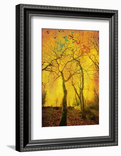 Chimèra-Viviane Fedieu Daniel-Framed Photographic Print