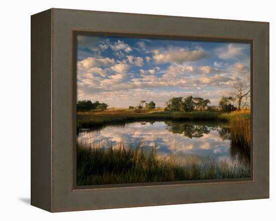 Chimney Creek Reflections, Tybee Island, Savannah, Georgia-Joanne Wells-Framed Premier Image Canvas