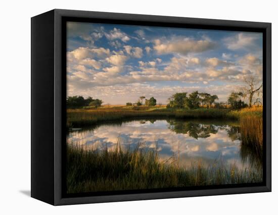 Chimney Creek Reflections, Tybee Island, Savannah, Georgia-Joanne Wells-Framed Premier Image Canvas