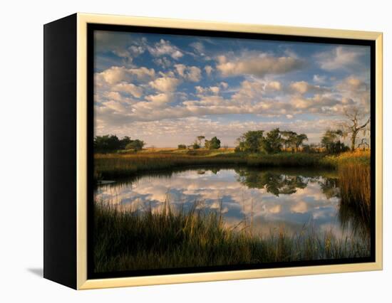 Chimney Creek Reflections, Tybee Island, Savannah, Georgia-Joanne Wells-Framed Premier Image Canvas