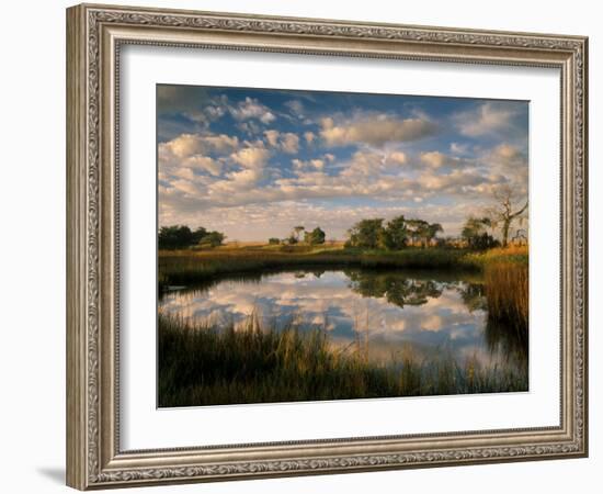 Chimney Creek Reflections, Tybee Island, Savannah, Georgia-Joanne Wells-Framed Photographic Print