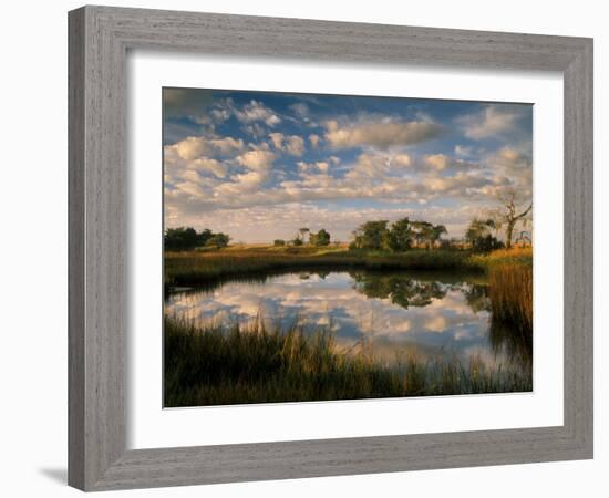 Chimney Creek Reflections, Tybee Island, Savannah, Georgia-Joanne Wells-Framed Photographic Print