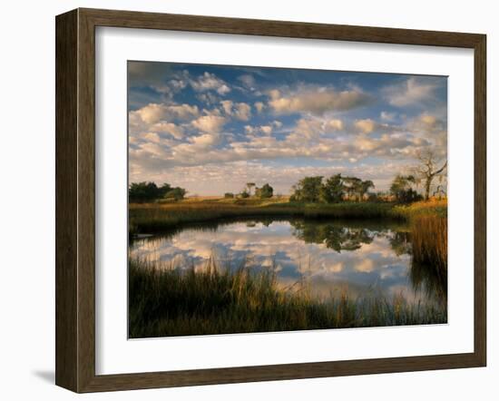 Chimney Creek Reflections, Tybee Island, Savannah, Georgia-Joanne Wells-Framed Photographic Print