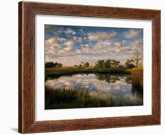 Chimney Creek Reflections, Tybee Island, Savannah, Georgia-Joanne Wells-Framed Photographic Print