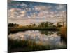 Chimney Creek Reflections, Tybee Island, Savannah, Georgia-Joanne Wells-Mounted Photographic Print