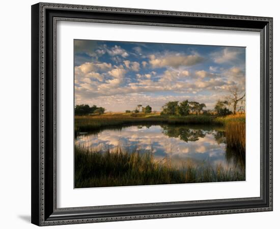 Chimney Creek Reflections, Tybee Island, Savannah, Georgia-Joanne Wells-Framed Photographic Print