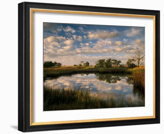 Chimney Creek Reflections, Tybee Island, Savannah, Georgia-Joanne Wells-Framed Photographic Print