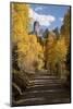 Chimney Peak and Courthouse Mountains in the Uncompahgre National Forest, Colorado-Joseph Sohm-Mounted Photographic Print