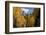 Chimney Peak and Courthouse Mountains in the Uncompahgre National Forest, Colorado-Joseph Sohm-Framed Photographic Print