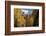 Chimney Peak and Courthouse Mountains in the Uncompahgre National Forest, Colorado-Joseph Sohm-Framed Photographic Print