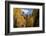 Chimney Peak and Courthouse Mountains in the Uncompahgre National Forest, Colorado-Joseph Sohm-Framed Photographic Print