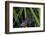 Chimney Sweeper on Blade of Grass-Harald Kroiss-Framed Photographic Print