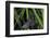 Chimney Sweeper on Blade of Grass-Harald Kroiss-Framed Photographic Print