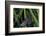 Chimney Sweeper on Blade of Grass-Harald Kroiss-Framed Photographic Print