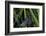 Chimney Sweeper on Blade of Grass-Harald Kroiss-Framed Photographic Print