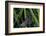 Chimney Sweeper on Blade of Grass-Harald Kroiss-Framed Photographic Print