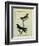 Chimney Swift and Sand Martin-Georges-Louis Buffon-Framed Giclee Print