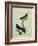 Chimney Swift and Sand Martin-Georges-Louis Buffon-Framed Giclee Print