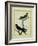 Chimney Swift and Sand Martin-Georges-Louis Buffon-Framed Giclee Print