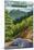 Chimney Tops and Road - Great Smoky Mountains National Park, TN-Lantern Press-Mounted Art Print