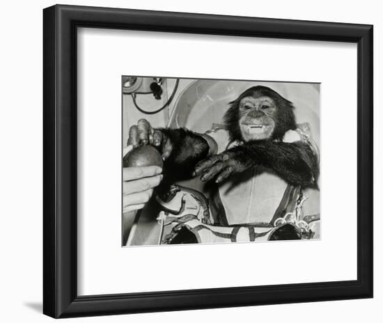 Chimp Ham After Mercury MR2 Flight-null-Framed Photographic Print