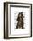 Chimp Playing Cello-Fab Funky-Framed Art Print