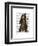 Chimp Playing Cello-Fab Funky-Framed Art Print