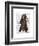 Chimp Playing Cello-Fab Funky-Framed Art Print