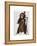 Chimp Playing Cello-Fab Funky-Framed Stretched Canvas