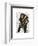 Chimp Playing Tuba-Fab Funky-Framed Art Print