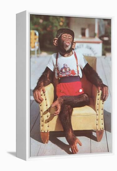 Chimp Sitting in Armchair-null-Framed Stretched Canvas