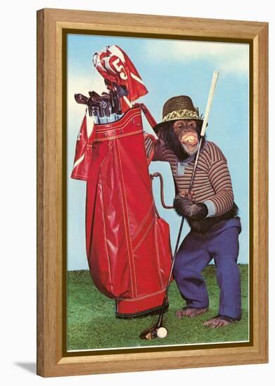 Chimp with Golf Bag-null-Framed Stretched Canvas